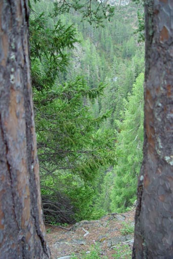 SNP_foto_05