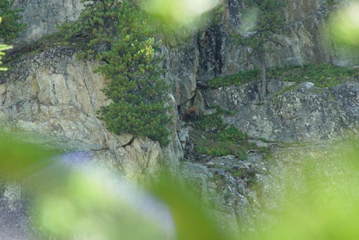 SNP_foto_52