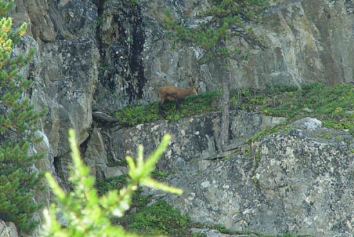 SNP_foto_53
