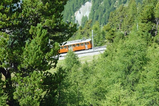 SNP_foto_71