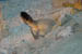 SNP_foto_03