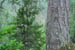 SNP_foto_04