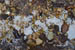 SNP_foto_12