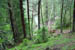 SNP_foto_13
