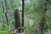 SNP_foto_14