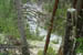 SNP_foto_15