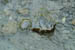 SNP_foto_16