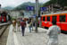 SNP_foto_31