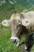 SNP_foto_37