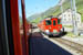 SNP_foto_41