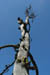 SNP_foto_49