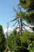 SNP_foto_50