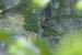 SNP_foto_52