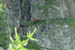 SNP_foto_53