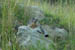 SNP_foto_61