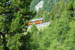 SNP_foto_71