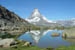 SNP_foto_78